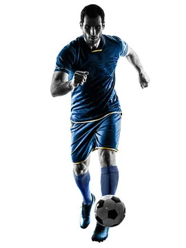 球友体育 主要标志